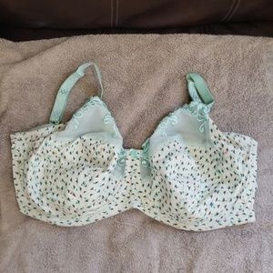 Cream & Light Green Bra